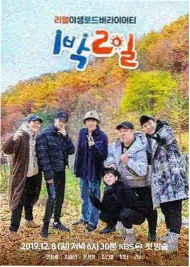 一起去露营 神马影院户外综艺在线观看